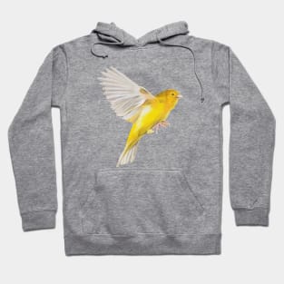 Canary in Flight Hoodie